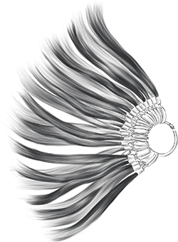 Acesso prioritário aos Sistemas de Colecção