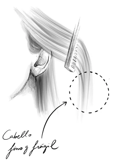 Cabelo fino e frágil